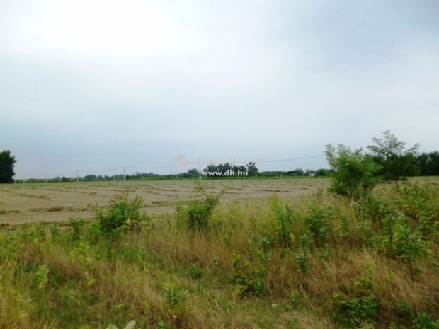 Kecskem�ti 3836 nm-es telek elad�