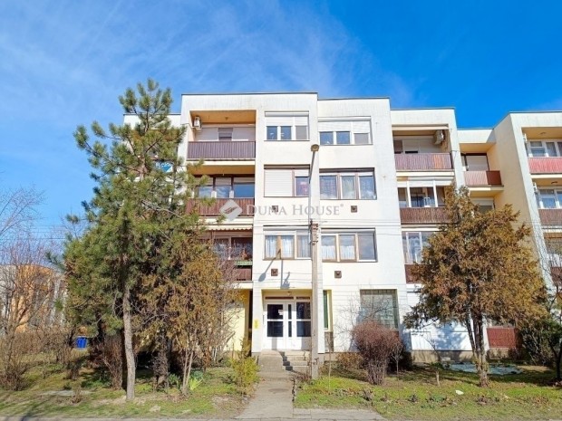 Kecskem�ti 60 nm-es lak�s elad�