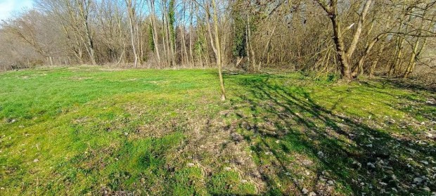 Kehidakust�nyban �p�t�si telek elad�