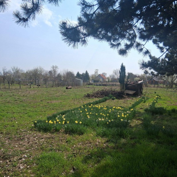 Kenderf�ldeken telek j� �ron elad�