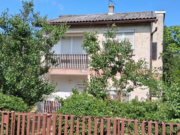 Kengyel f�utc�j�n 2 szintes csal�di h�z elad�