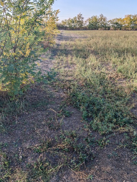 Kengyelen �p�t�si telek elad�!