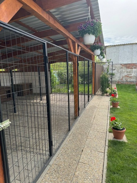 Kennel sor elem 8m elad