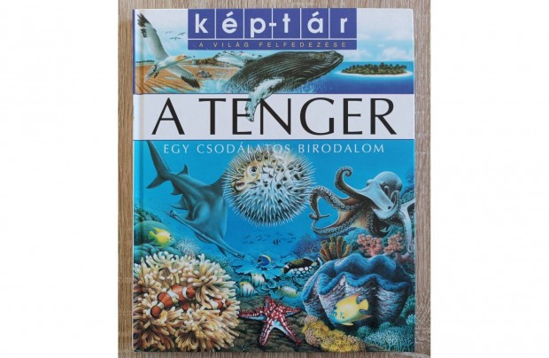 Kp-tr: A tenger - Egy csodlatos birodalom