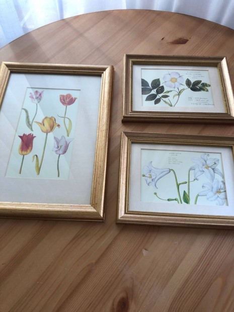 Kpek keretben Ikea