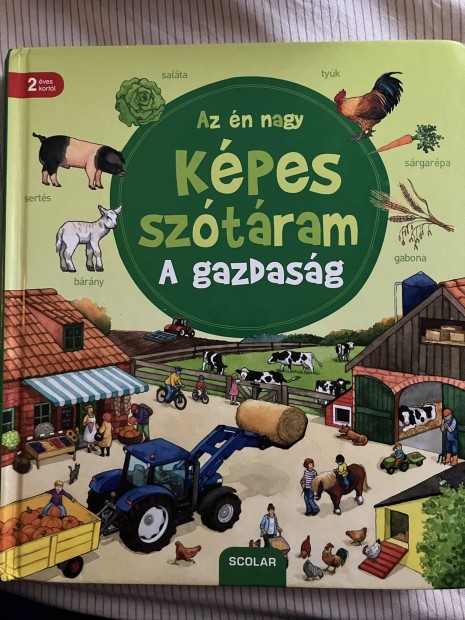 Kpes sztram a Gazdasg Scolar