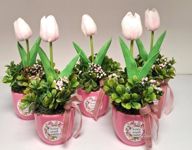 Kermia kasps tulipn