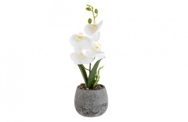 Kermia szrke dekoratv virgcserp fehr orchidea 10x30cm