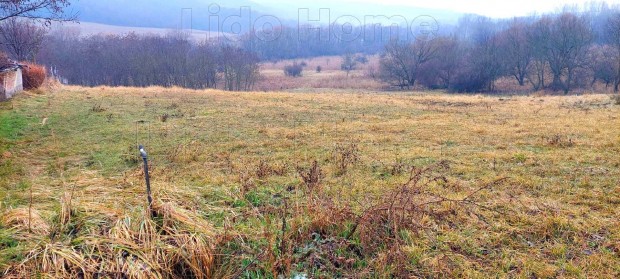 Kerekiben tjpanorms belterleti ptsi telek elad