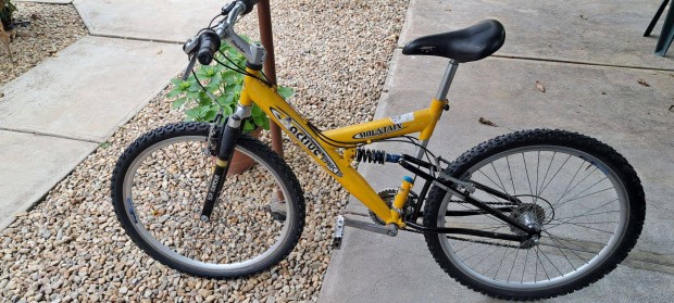 Kerékpár, Active Mountain BIKE