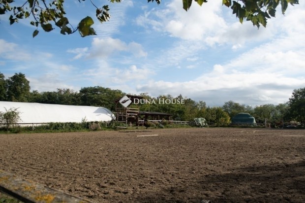 Kerepesi 90 nm-es h�z elad�