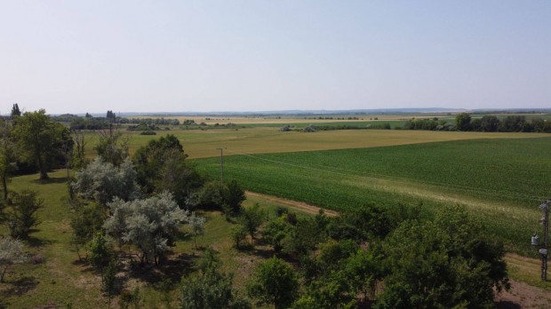 Keresek: Balatonszabadi k�rny�k�n t�bb hekt�ros ter�letet keresek