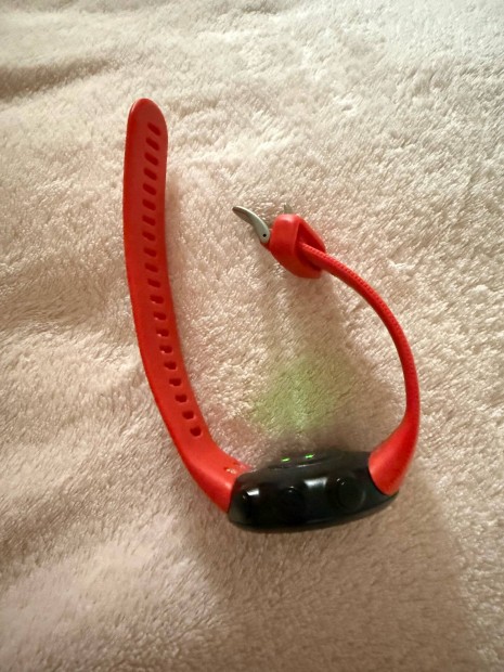 Keresek: Garmin Forerunner 55
