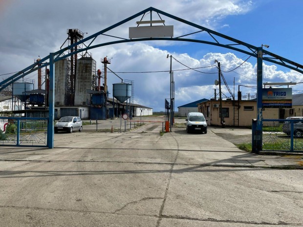 Kereskedelmi adminisztr�tor - m�zs�s (R�zsafa)