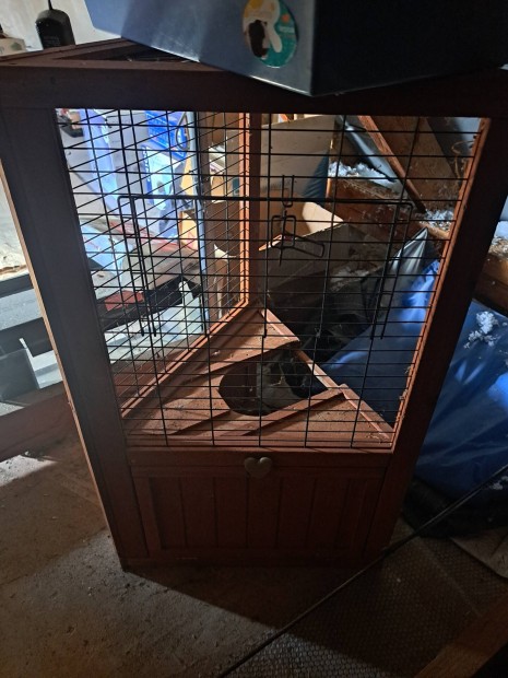 Kert tengerimalac hazik� elad�