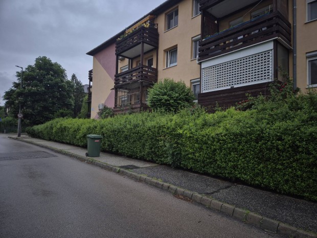 Kertészeti munka