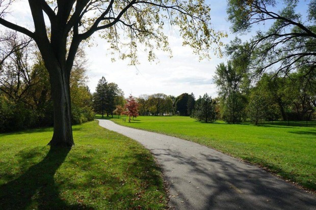 Kertszmrnk Agrrmrnk Parkfenntartsi koordintor Budapest