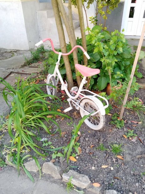 Kerti dsznek elad Miskolcon bicikli. 