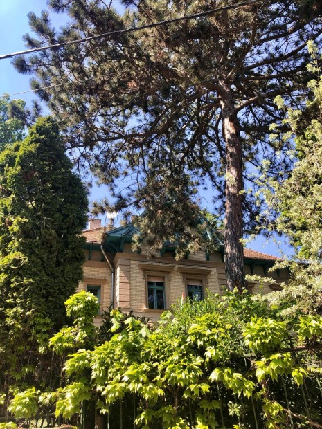 Kertkapcsolatos lak�s a R�zsadombon, villa�p�letben