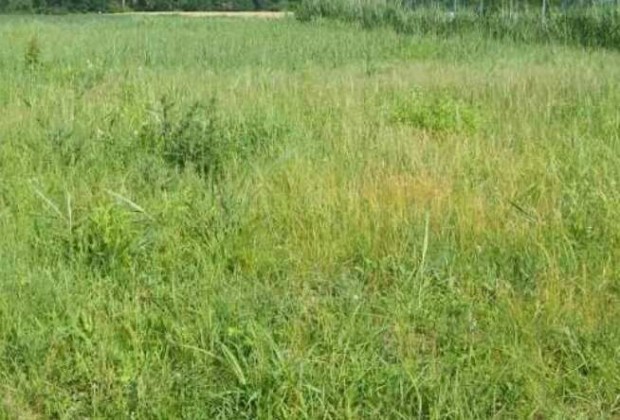 Kertkapcsolatos �j lak�s Si�fok-Kilitiben