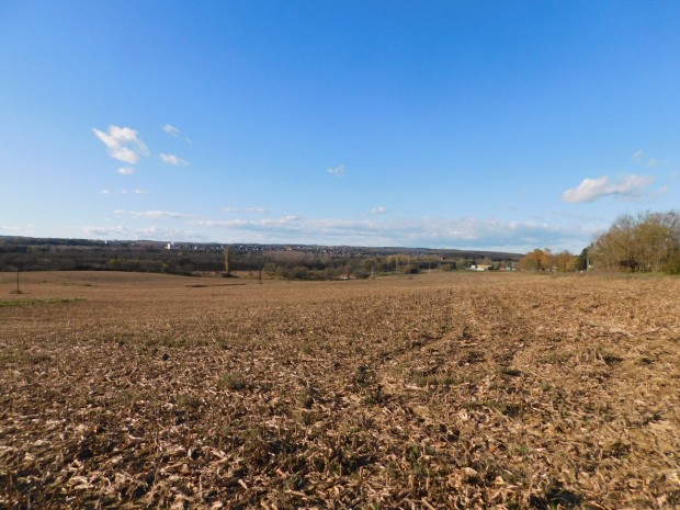 Keszthelyen sz�nt� elad�