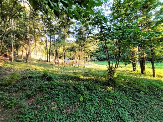 Keszt�lci elad� 3550 nm-es telek