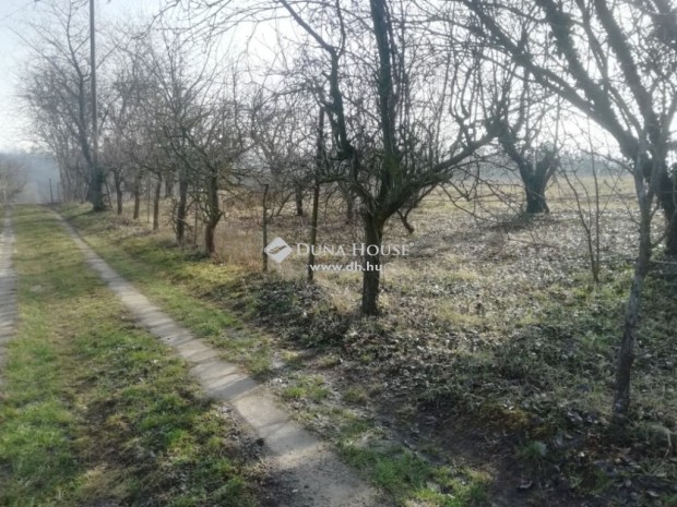 Kesz�i elad� 1240 nm-es telek