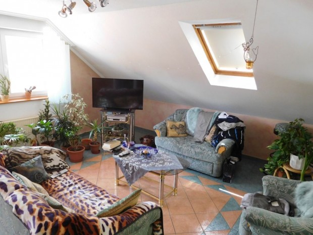 K�tlak�sos csal�di h�z m�k�d� �zlettel elad� P�p�n!