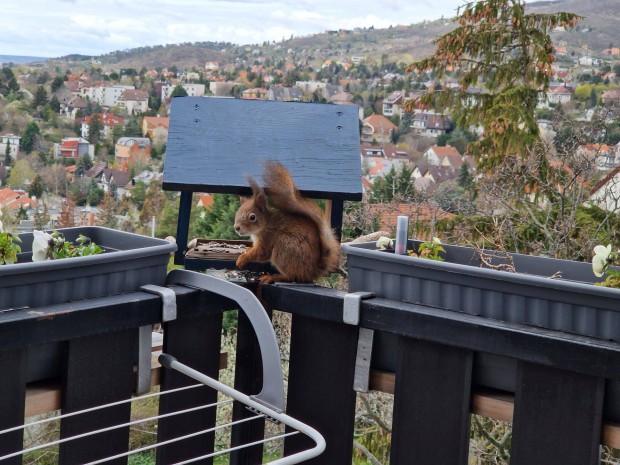 K�tszintes lak�s csod�s kil�t�ssal Sasadon, kiadhat� garzonnal