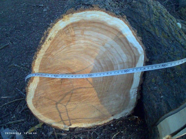 K�zm�ves eper alapanyag