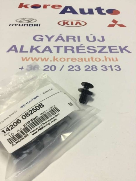 Kia Hyundai patent 1420608250B