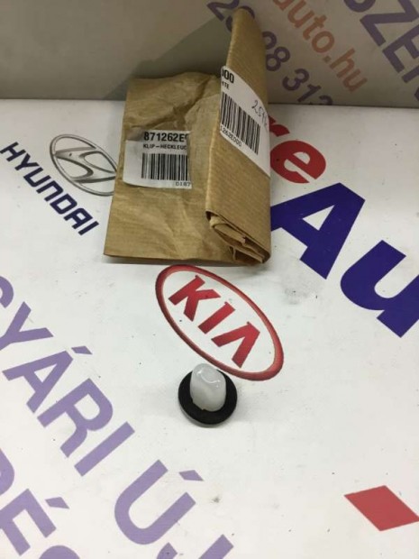 Kia Hyundai patent 871262E000