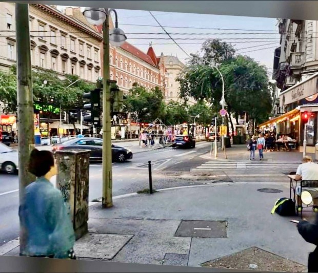 Kiad� Fel�j�tott �zlet, VII.ker.Belv�ros Sz�v�ben, Bulinegyed, Erzs�be