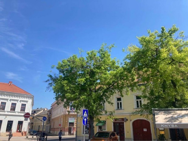 Kiad Iroda a kzpontban (1. emeleti, 2 szobs btorozatlan ingatlan)