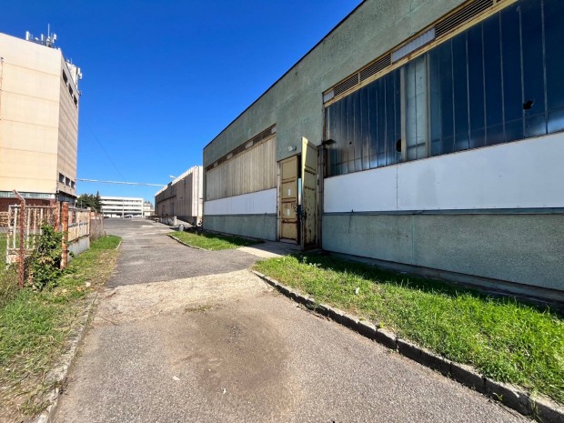 Kiad� Miskolcon a Zsolcai kapuban egy 300 m rakt�r!