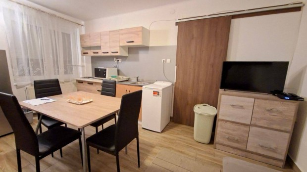 Kiad� Rem�ny utc�ban �n�ll� 1 szob�s berendezett garzon f�rfilak�nak