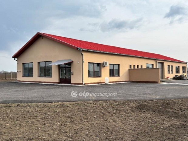 Kiad� Telephely, Gyula