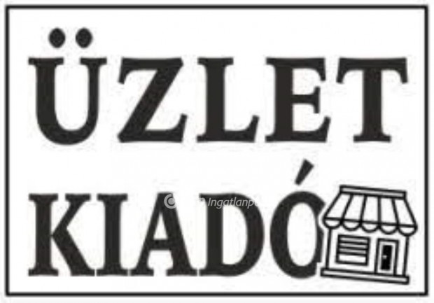 Kiadó Üzlethelyiség, Nyíregyháza