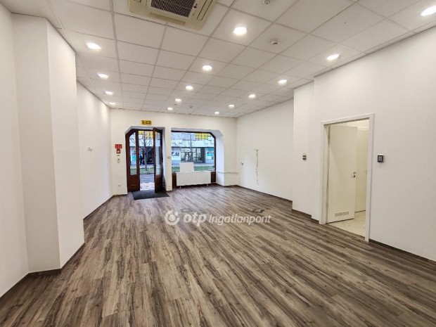 Kiad� �zlethelyis�g, Szolnok