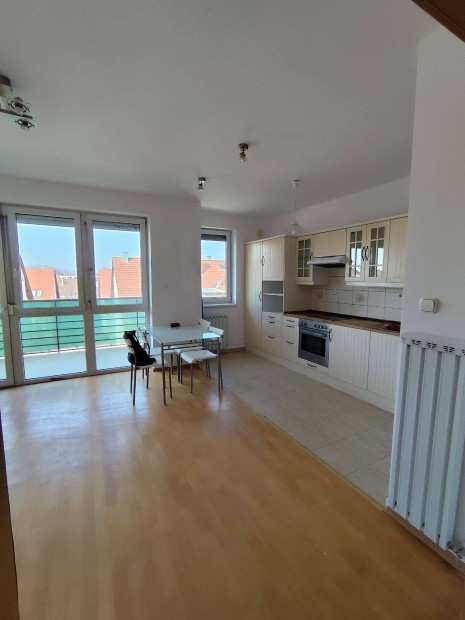 Kiad�, k�tszob�s, �jszer� lak�s Zugl�ban