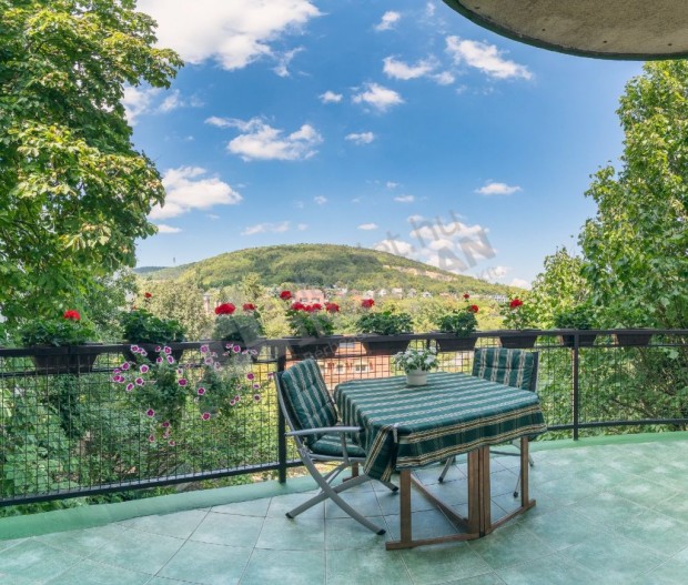 Kiad� a fels� Z�ldm�li �ton egy 5 sz lak�s-