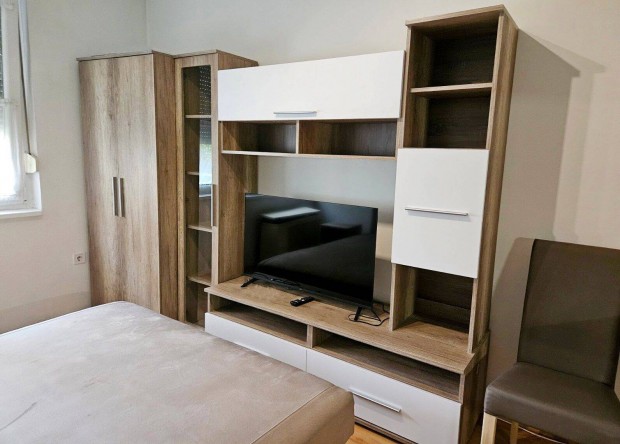 Kiad� alb�rlet az Egyetem �s az Eg�szs�g�gyi F�iskola k�zel�ben !