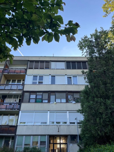 Kiad albrlet laks