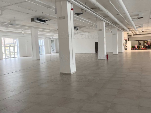 Kiad egy 1100m2-es ingatlan Nagykanizsn egy belvrosi liftes