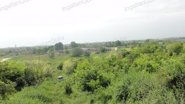 Kiad� fejleszt�si ter�let Solt