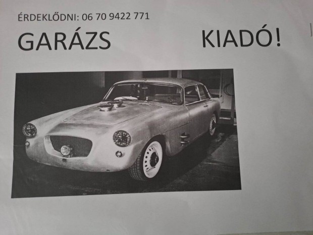 Kiad� gar�zs a Bujtos k�rny�k�n!