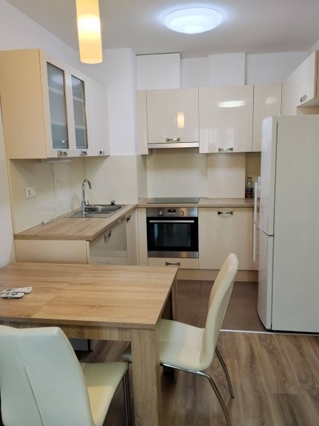 Kiad� lak�s Debrecenben a D�czy parkban/Flat for rent in Debrecen