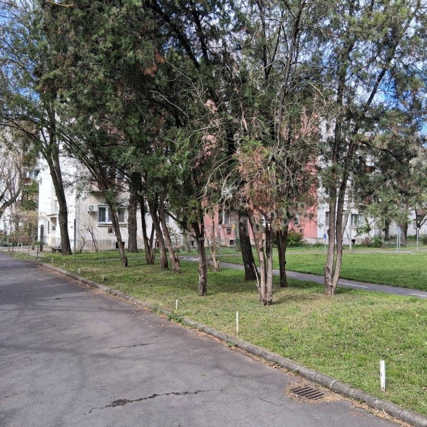 Kiadó lakás, Békéscsaba Békéscsaba-Belváros, Penza lakótelep, 139_csa