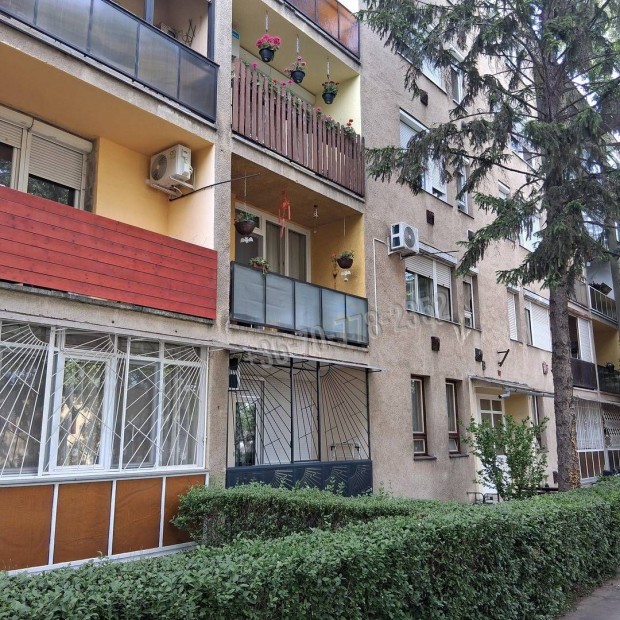 Kiadó lakás, Békéscsaba Kazinczy-lakótelep, Tolnai utca, 11000 146_csa