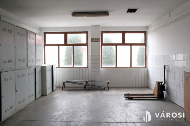 Kiadó műhelyek - az ügyfelek látókörében 100m2